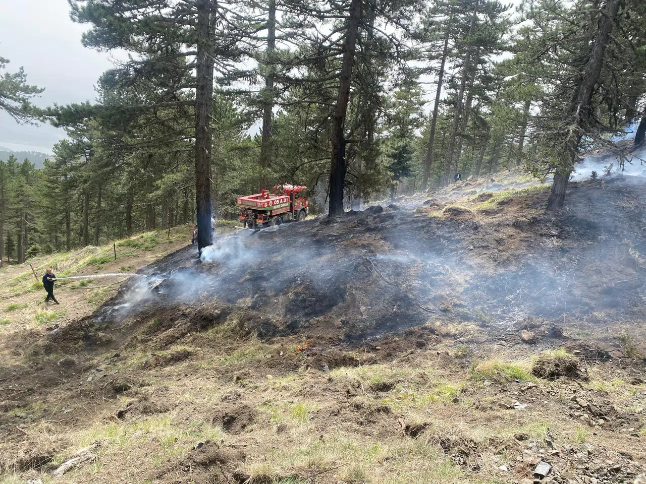 Ormanlık Alanda Başlayan Yangın Korkuttu