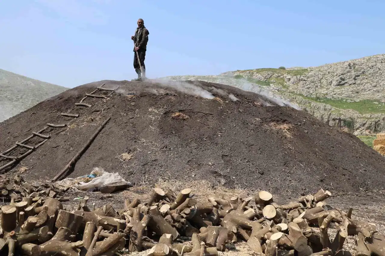 Çukurova Sıcağında Narenciye Odunları Mangal Kömürüne Dönüşüyor