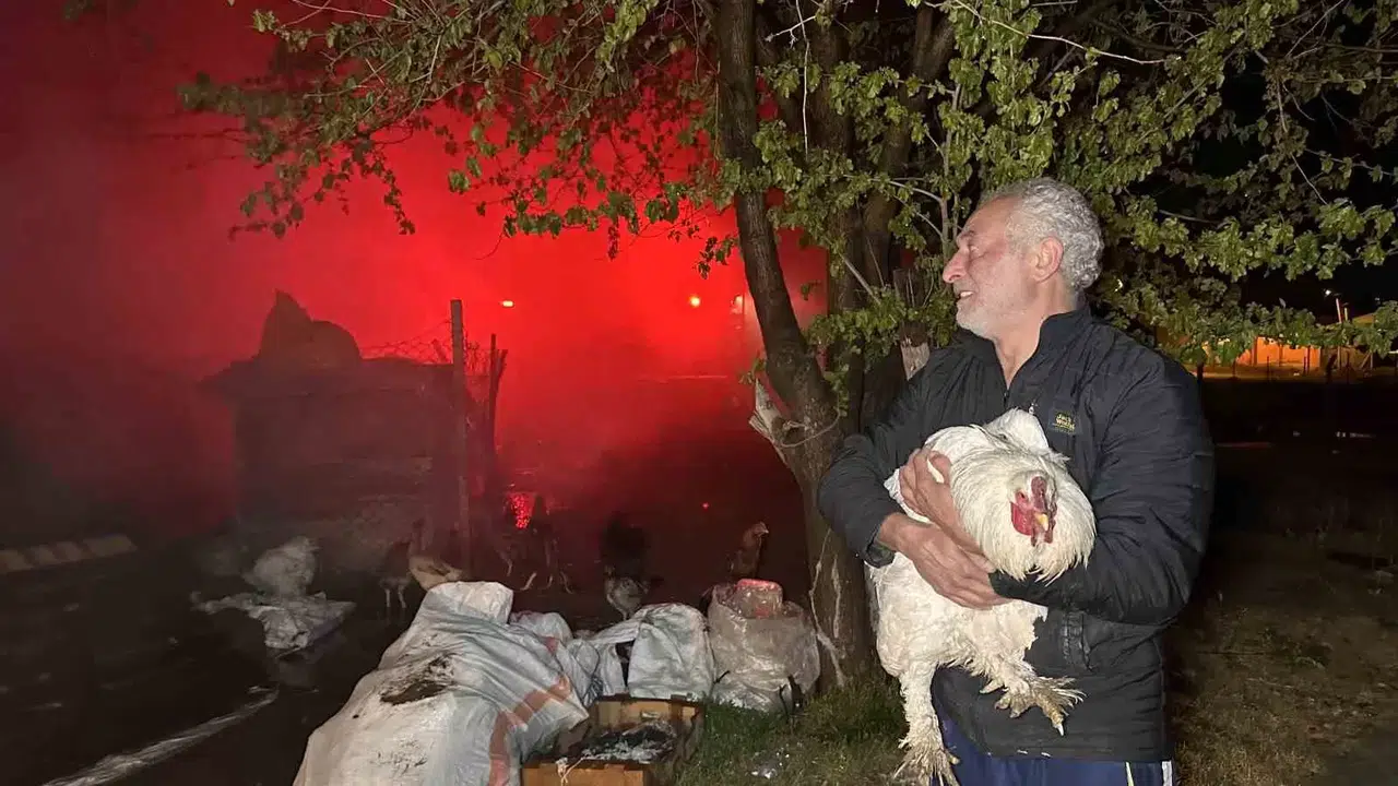 Dokuma Atıkların Toplandığı Depo Alev Alev Yandı: Yangından Kurtardığı Tavuğuna Bu türlü Sarıldı