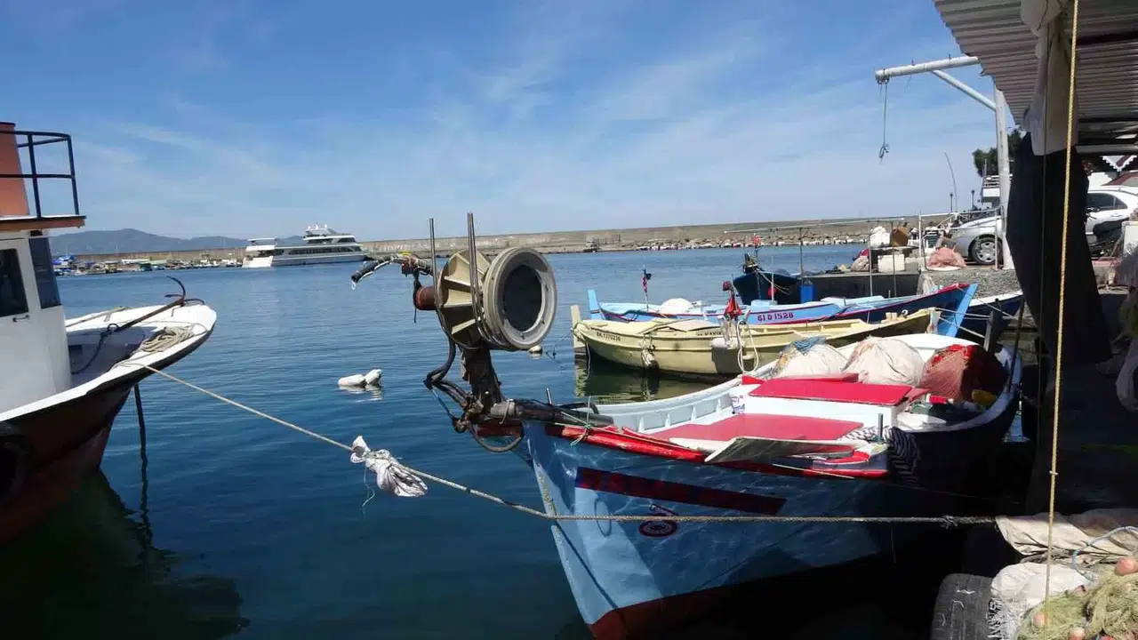 Kıyı Balıkçılığı Yapanların Sayısında Azalış Huzursuz Ediyor
