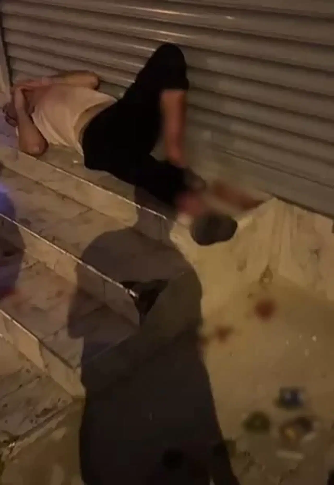 Pitbull Silahla Bile Durdurulamamış