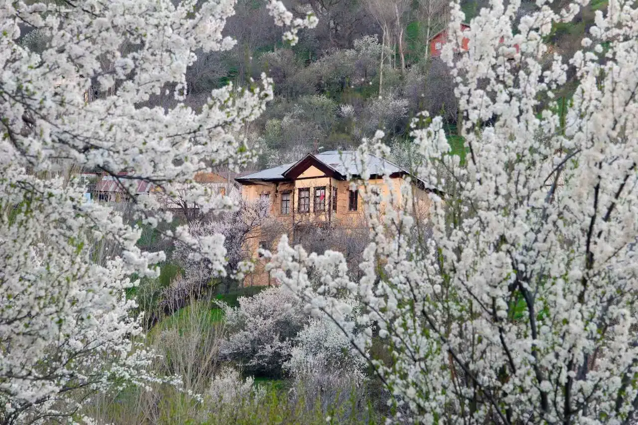 Tarihi Mahallede Bahar Hoşluğu