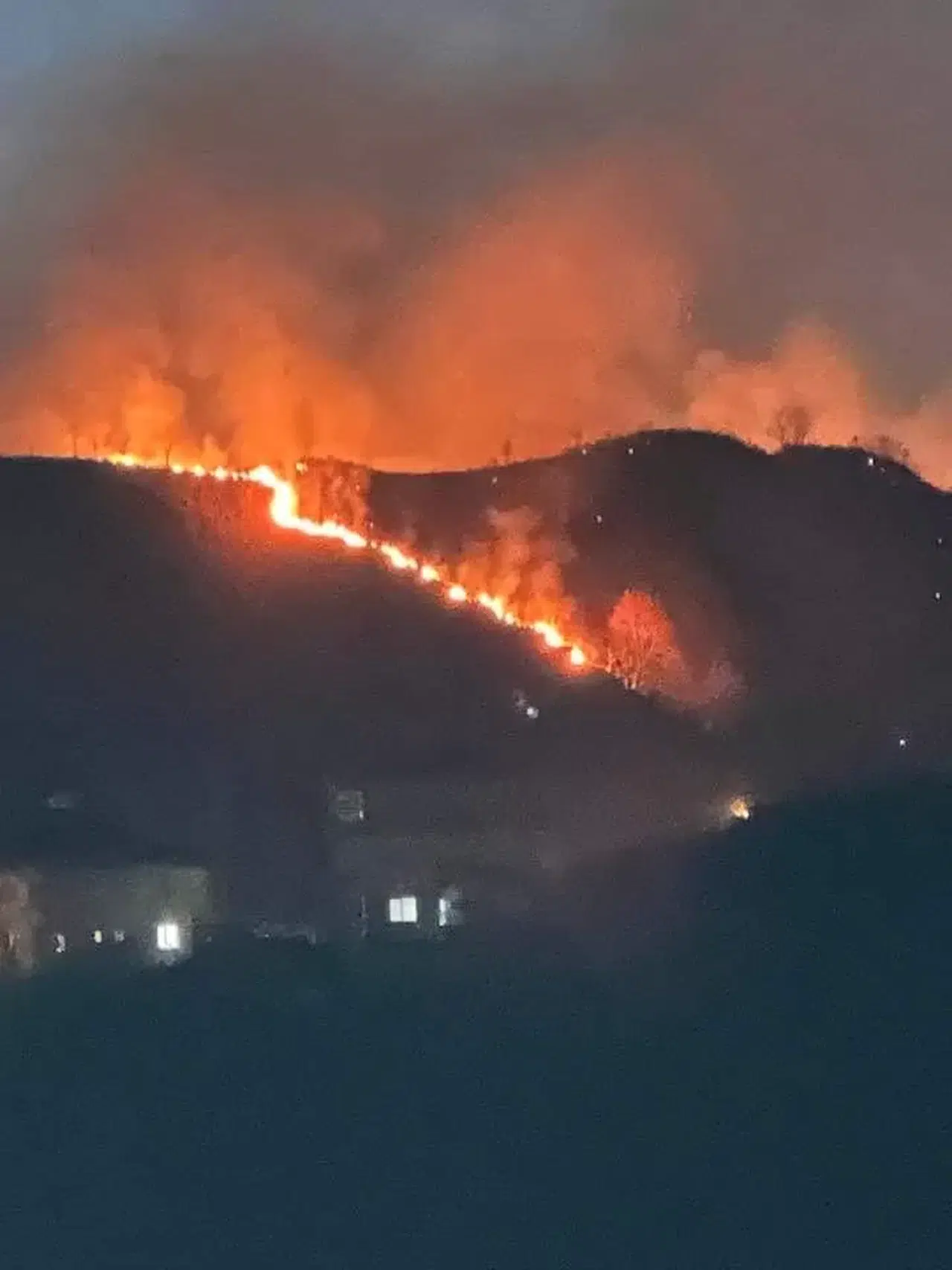 Trabzon’da Orman Yangını