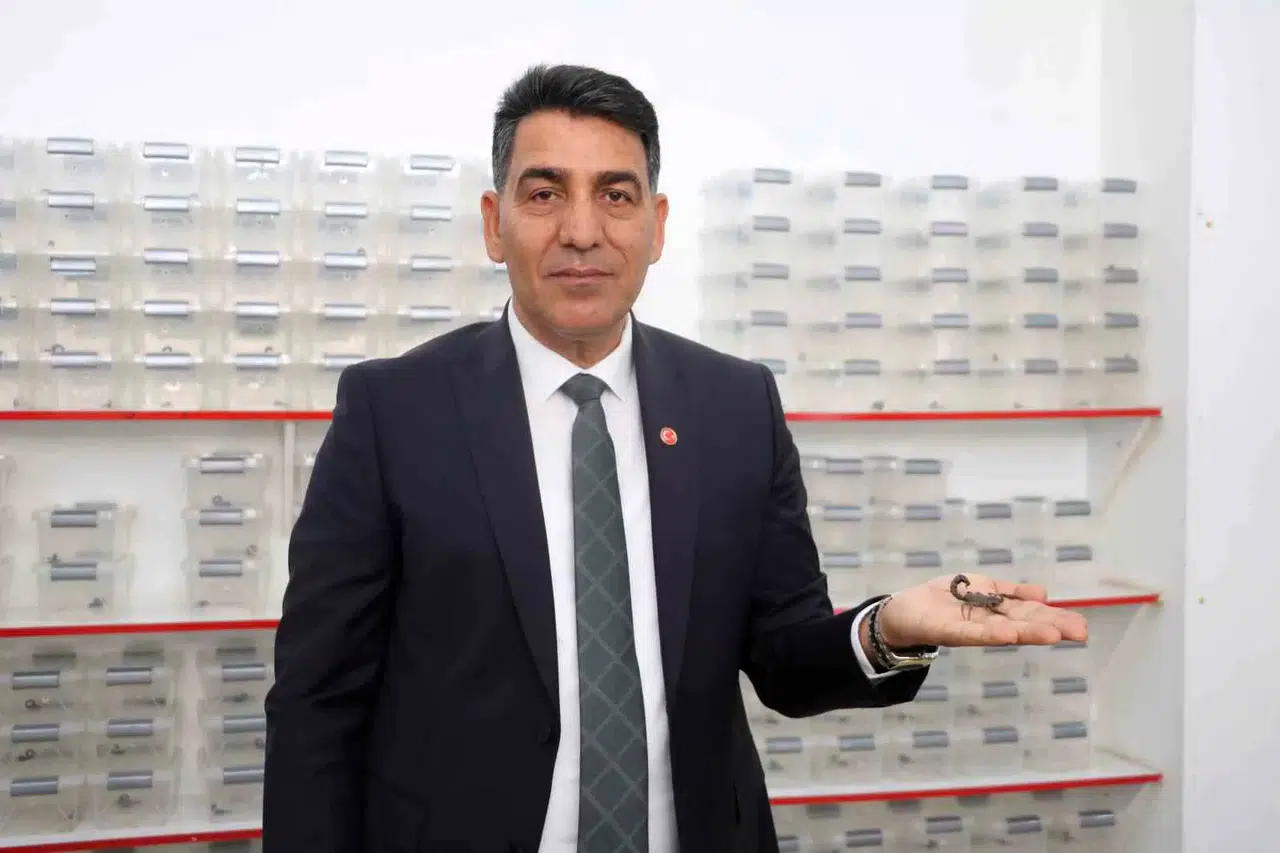 40 Yıllık Akrep Üreticisinden ABD’li Profesöre Reaksiyon