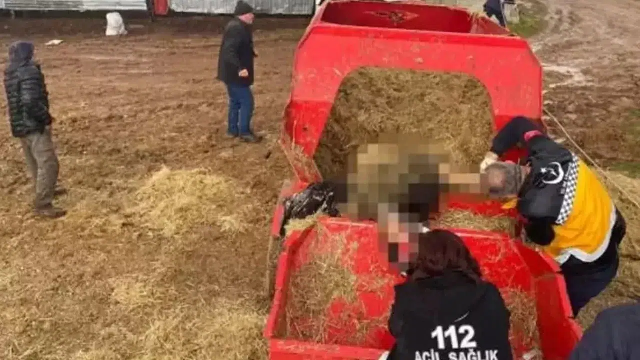 Çorumlu İşçinin Korkunç Ölümü, Yem Makinasına Düştü
