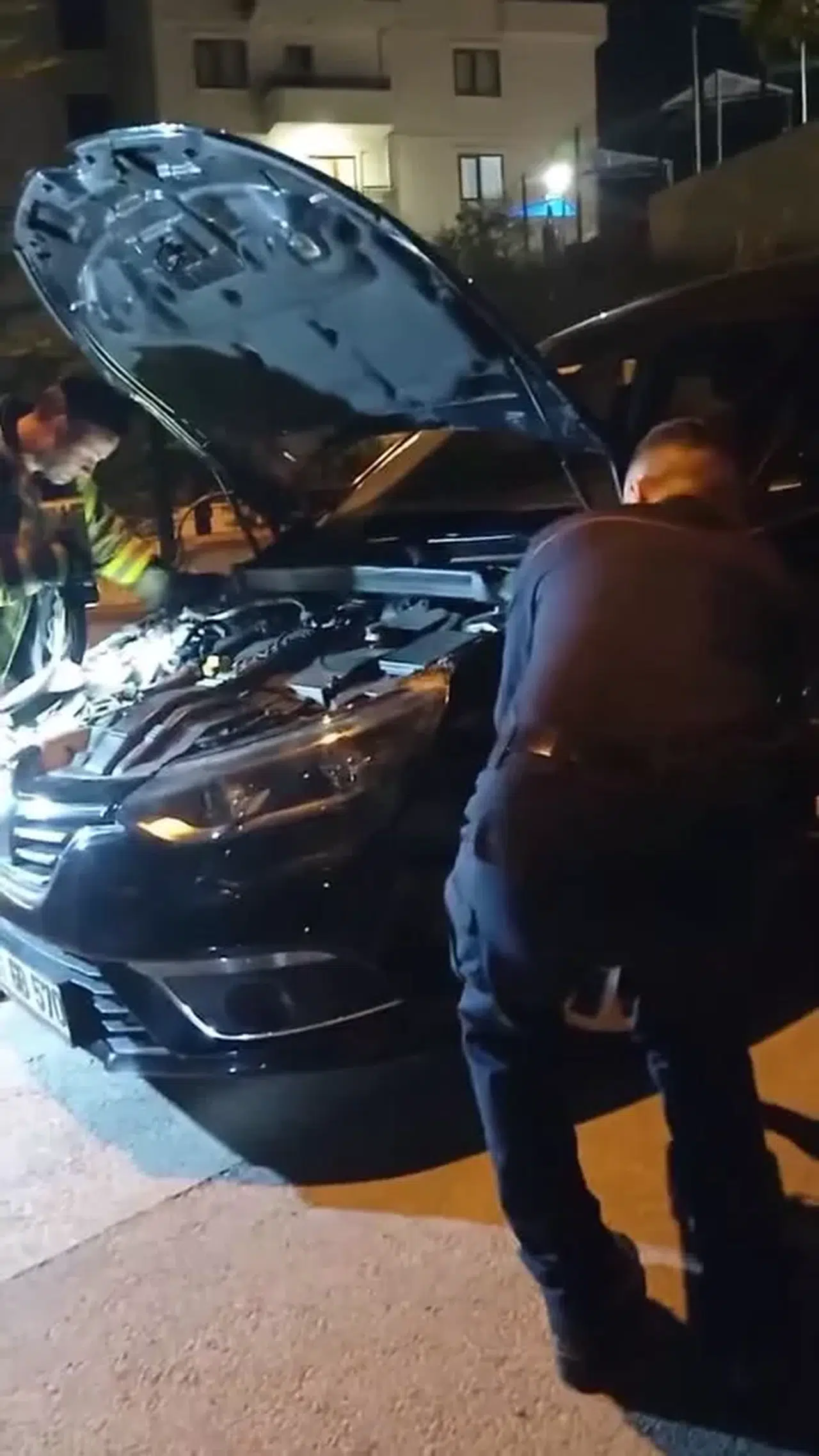 Arabaya Giren Yılan Bu türlü Çıktı