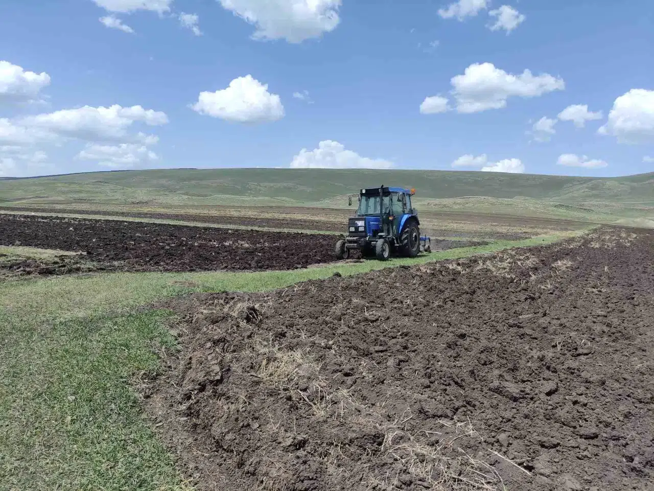 Ardahan’da Cet Tohumu Buğday ve Arpa Tohumları Toprakla Buluşturuluyor