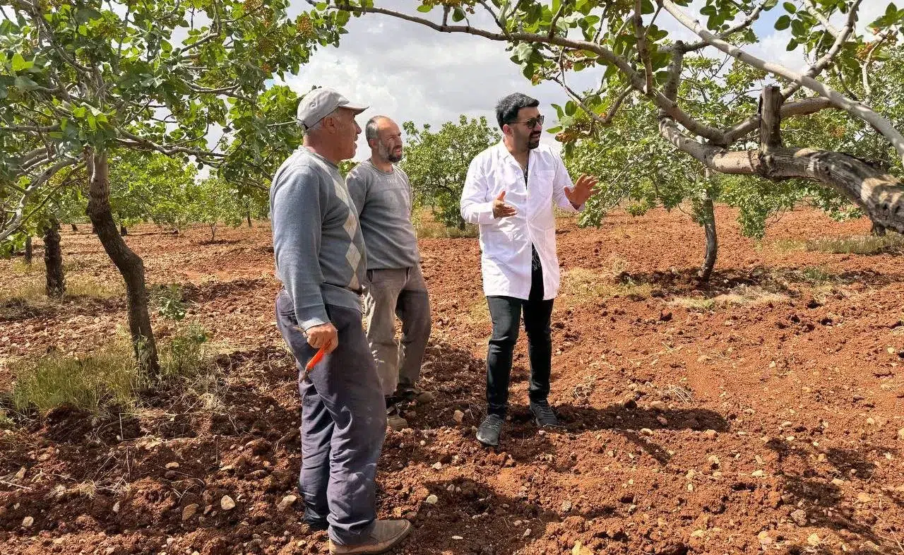 Dolu ve Yağmur Sonrası Ziraat Mühendisleri Alana İndi