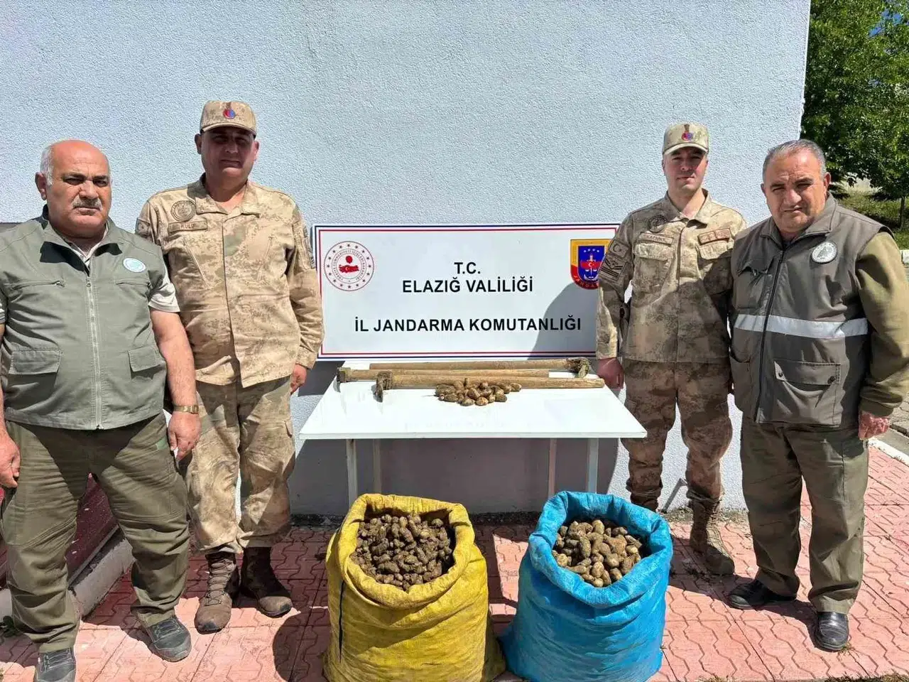 Elazığ’da Salep Bitkisi Toplayan 4 Bireye İdari Para Cezası Uygulandı