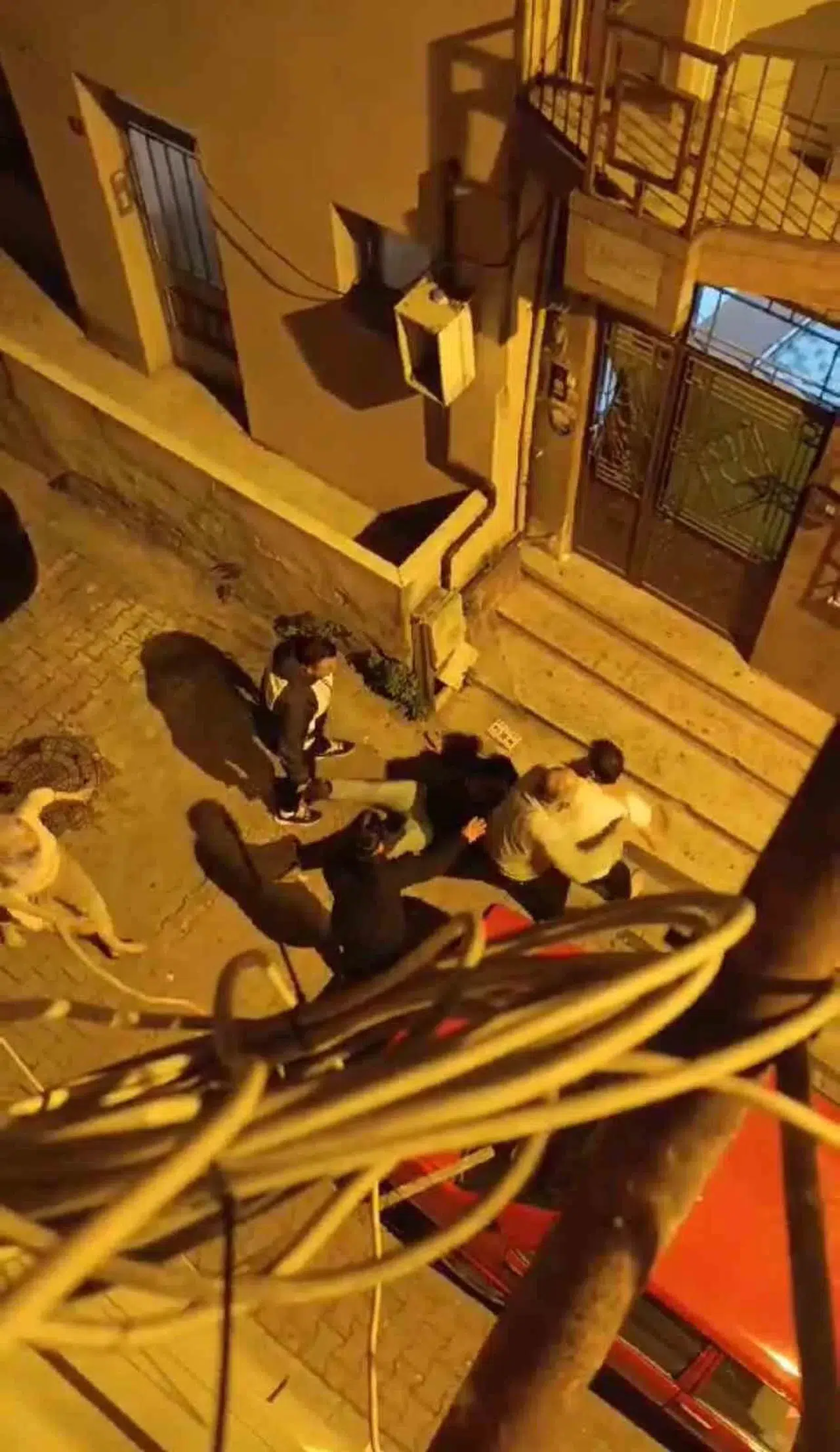 İstanbul’da Ortalığın Karıştığı Park Hengamesi Kamerada: Gece Yumruk ve Tekmeler Havada Uçuştu, Bayan Sopayla Saldırdı