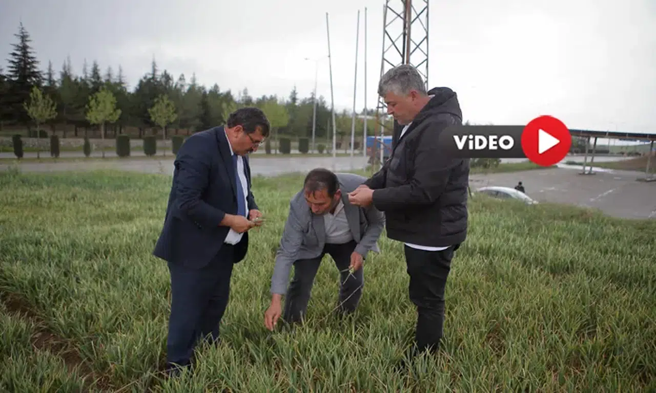 Yağış, Çiftçiyi Umutlandırdı