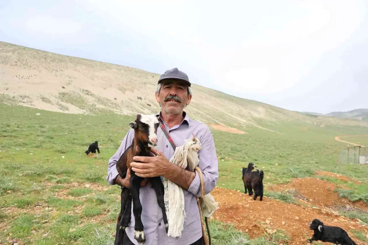 Kahramanmaraşlı Çoban 40 Hayvanını Dağ Doruğunda 6 Ay Otlatıyor