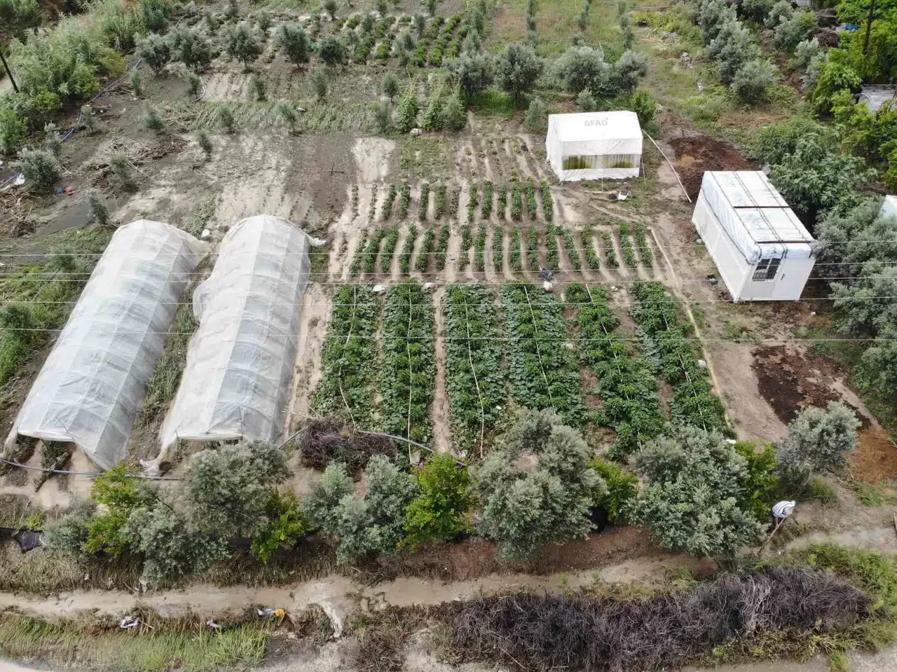 Şiddetli Yağmurun Tesirli Olduğu Hatay’da Tarım Yerleri Sular Altında Kaldı