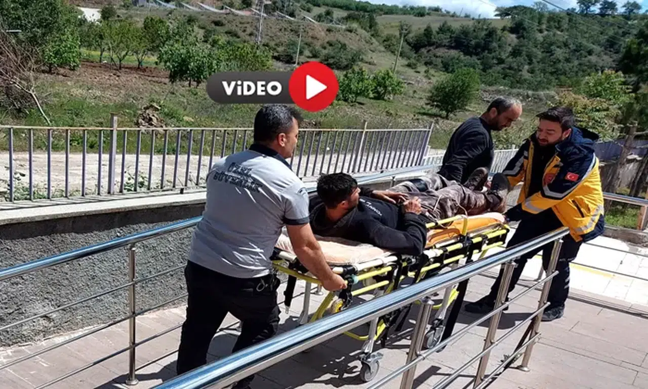 Genç Adam Domuz Saldırısına Uğradı