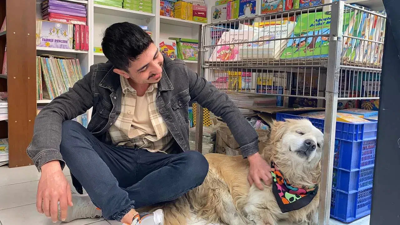 Yavruyken Arabanın Çarpıp Felç Bıraktığı Köpek, Esnafın Maskotu Oldu