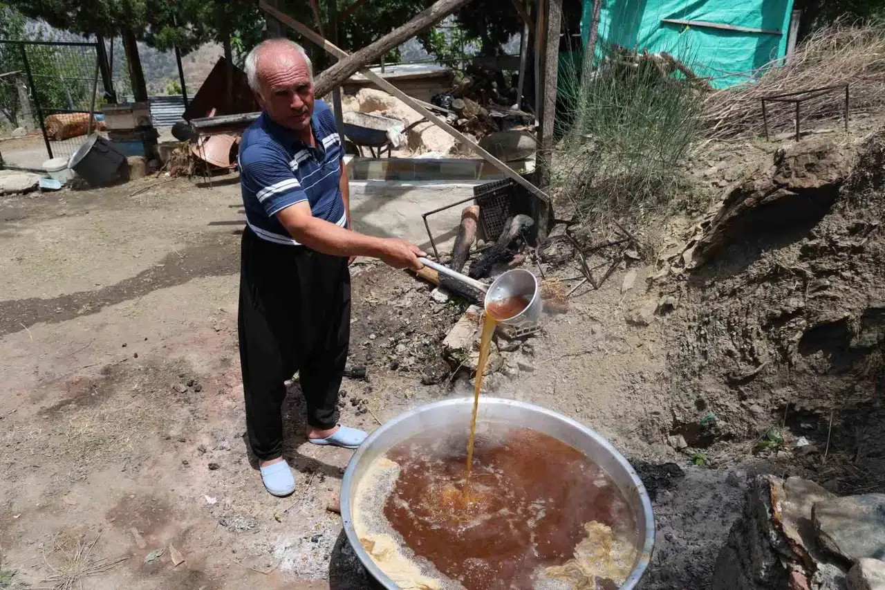 Adana Sıcağında Dutun Şifalı Seyahati Başladı