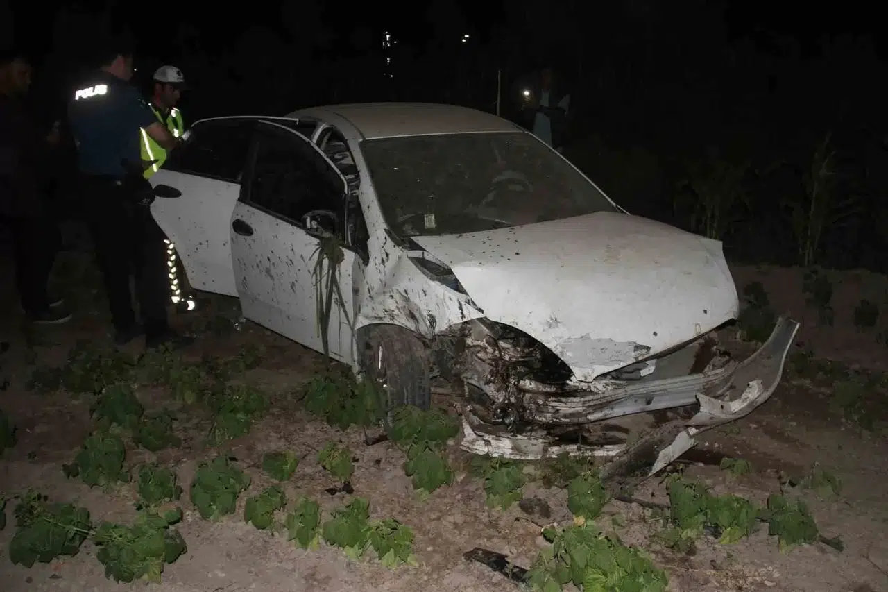 Araba Ağaca Çarpıp Zerzevat Bahçesine Girdi: 5 Yaralı