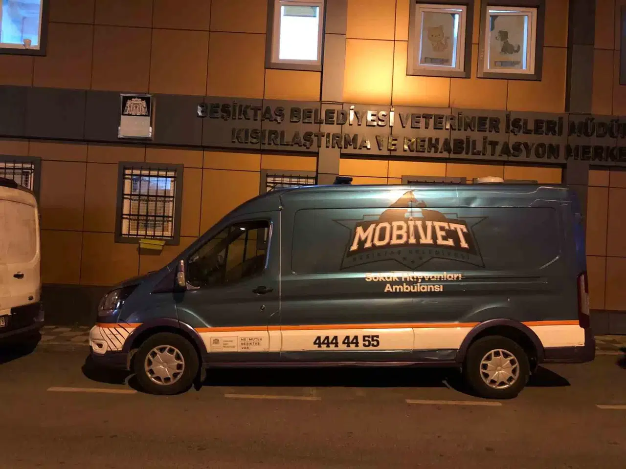 Beşiktaş Belediyesi Yangın Felaketinin Yaşandığı Bölgeye Hayvan Ambulansı Gönderdi
