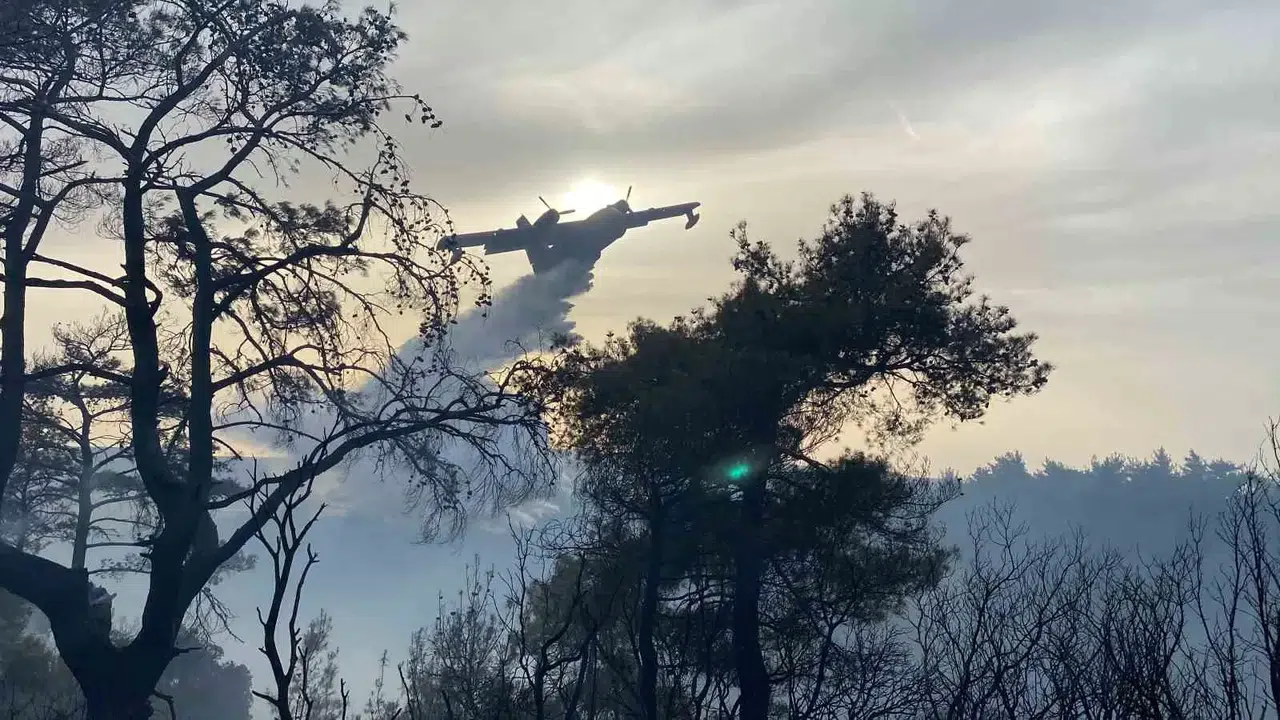 Çanakkale’deki Orman Yangını 8 Saat Sonra Denetim Altına Alındı