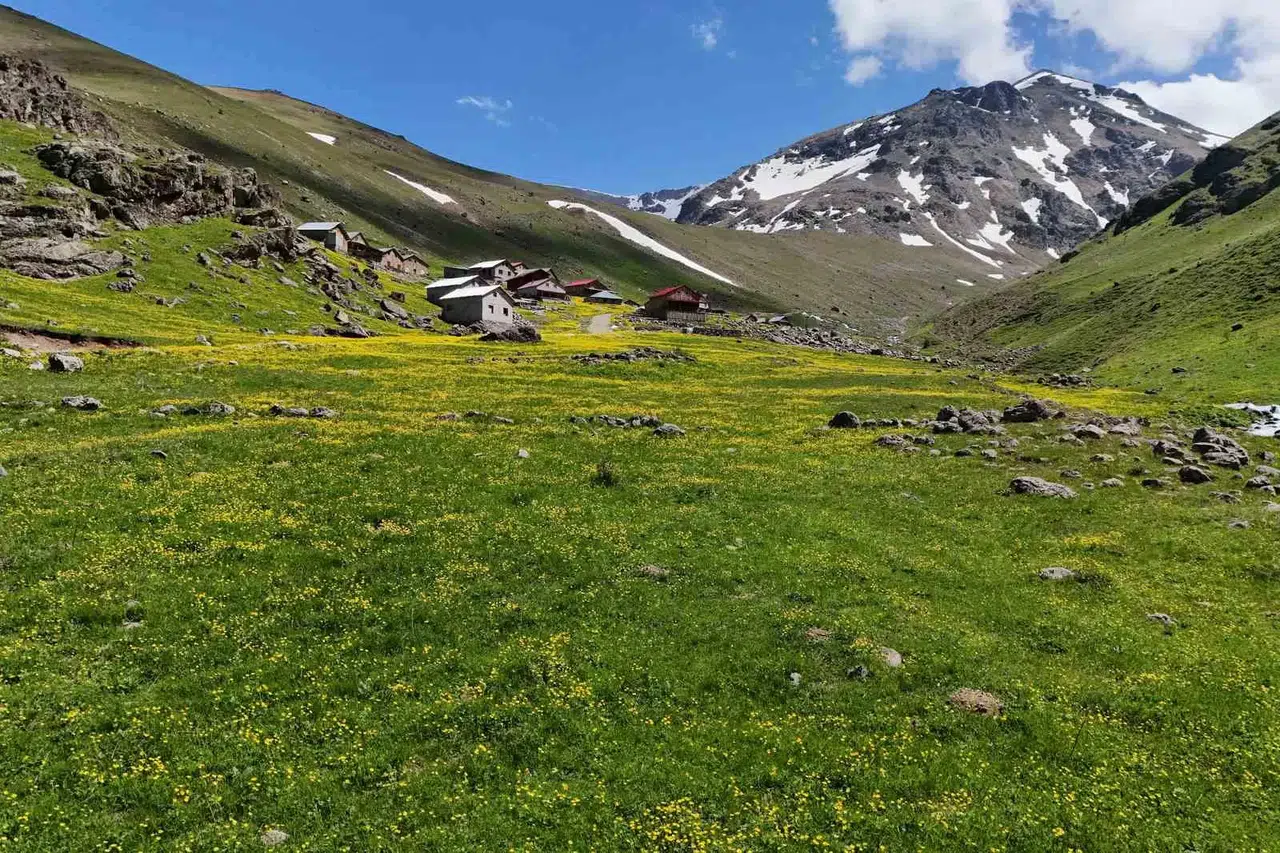 Dulağa Yaylası’nın Alpler’i Aratmayan Hoşluğu
