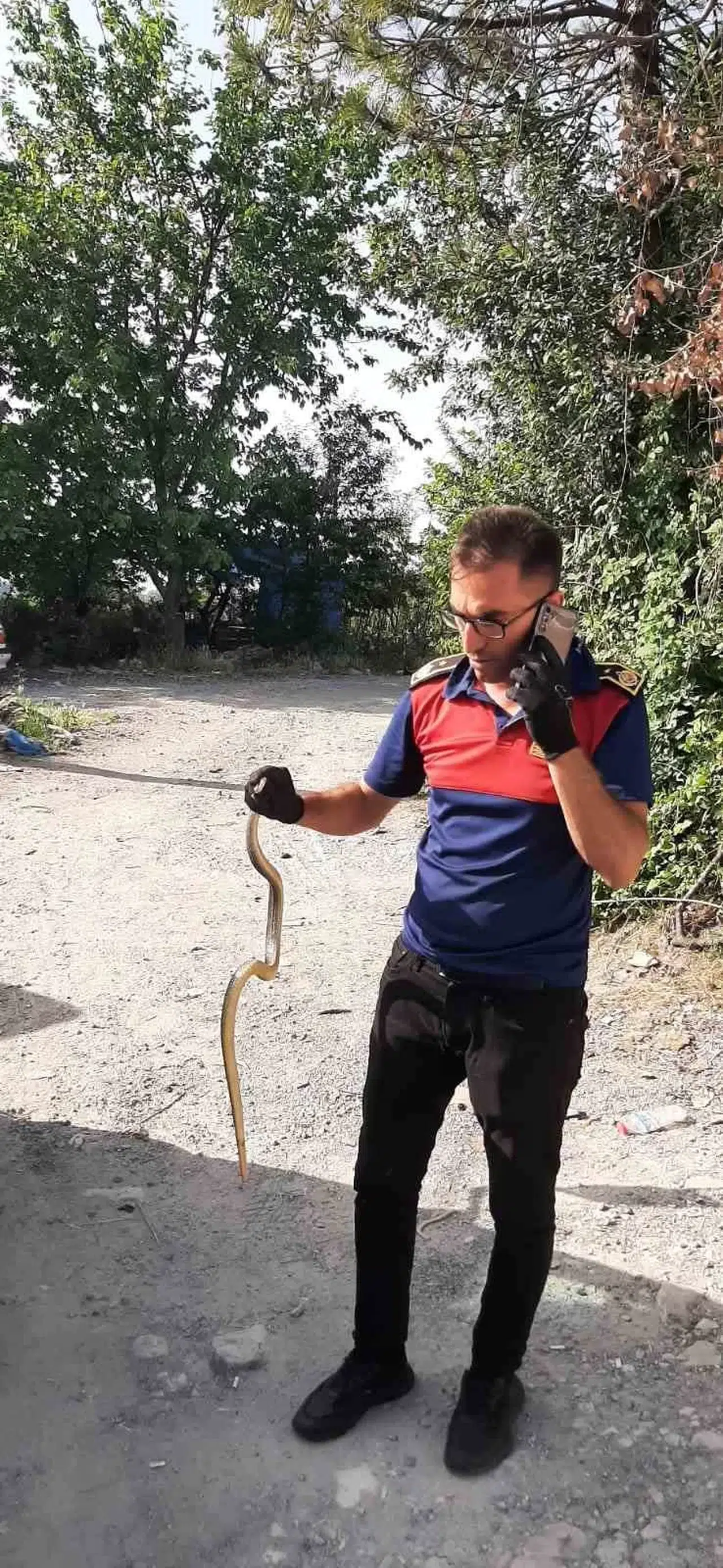 İş Yerine Giren Yılanı İtfaiye Grupları Yakalayıp Tabiata Saldı