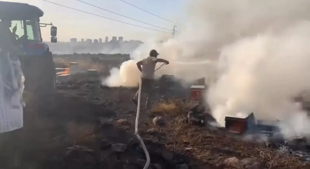 Siverek’te Çıkan Yangında Yüzlerce Arı Kovanı Kül Oldu