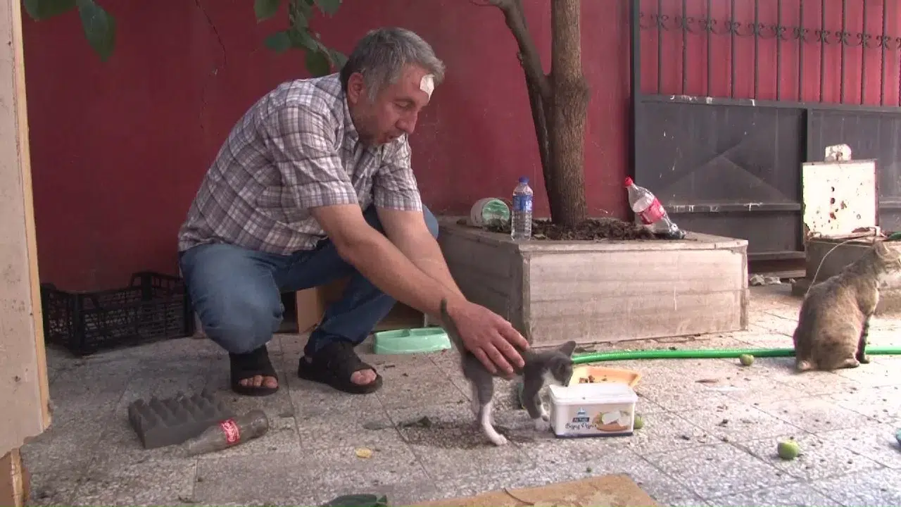 Sokak Hayvanlarını Beslediği İçin Darp Edildi