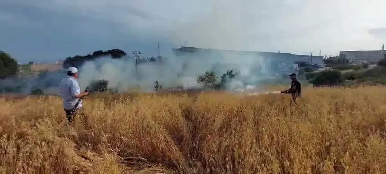 Yulaf Tarlasında Yangın