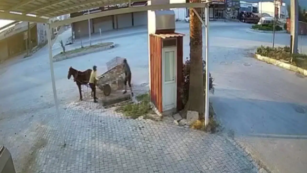 At Otomobilli Hırsızlar Mazgalı Saniyeler İçinde Çaldı