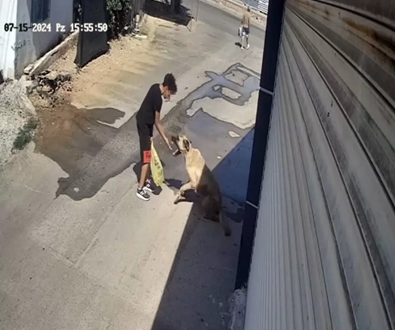 Beslediği Sokak Köpeği Küçük Çocuğa Saldırdı, Elini Güç Kurtardı