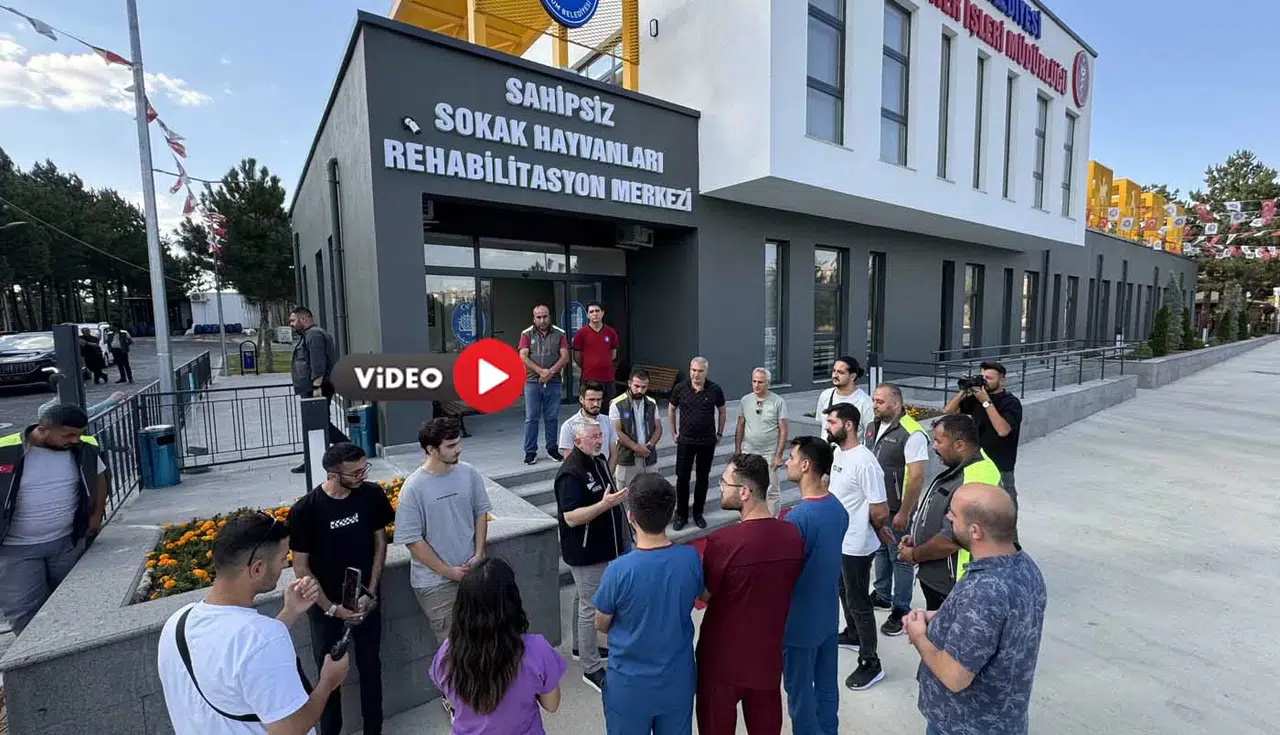 Çorum’da Sahipsiz Hayvanlar Doğal Yaşam Alanlarına Taşınacak