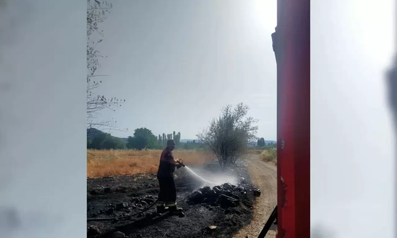 Örtü Yangınında Ağaçlar Zarar Gördü