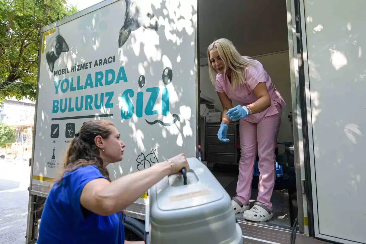 İzmir Büyükşehir, Kısırlaştırma Çalışmalarına Sürat Verdi