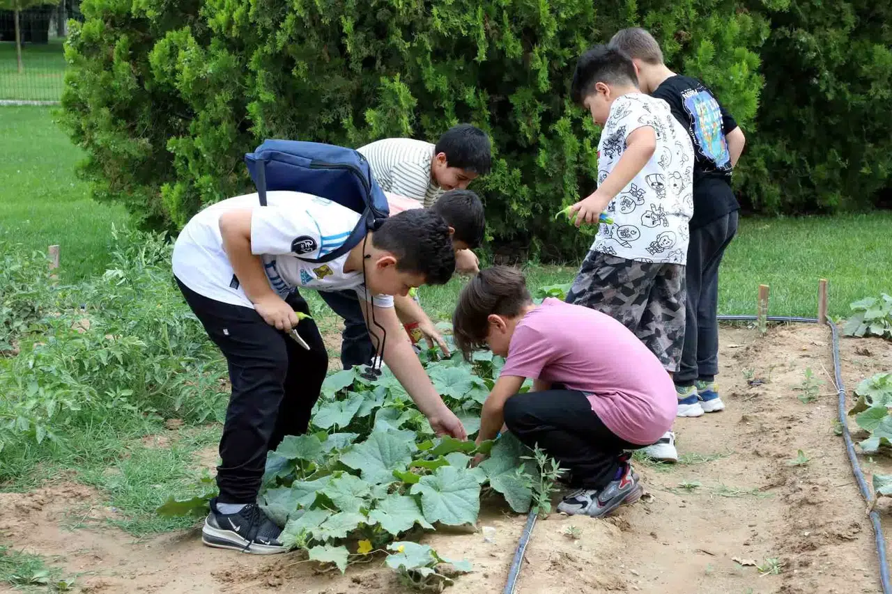 Karatay Tabiat Mektebi Yaz Devri Eğitimleri Sürüyor
