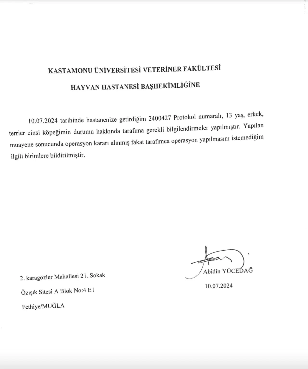 Kastamonu Üniversitesi’nden ’Köpek’ Açıklaması