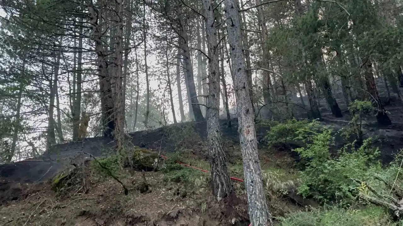 Kastamonu’da Düşen Yıldırım Orman Yangınlarına Sebep Oldu