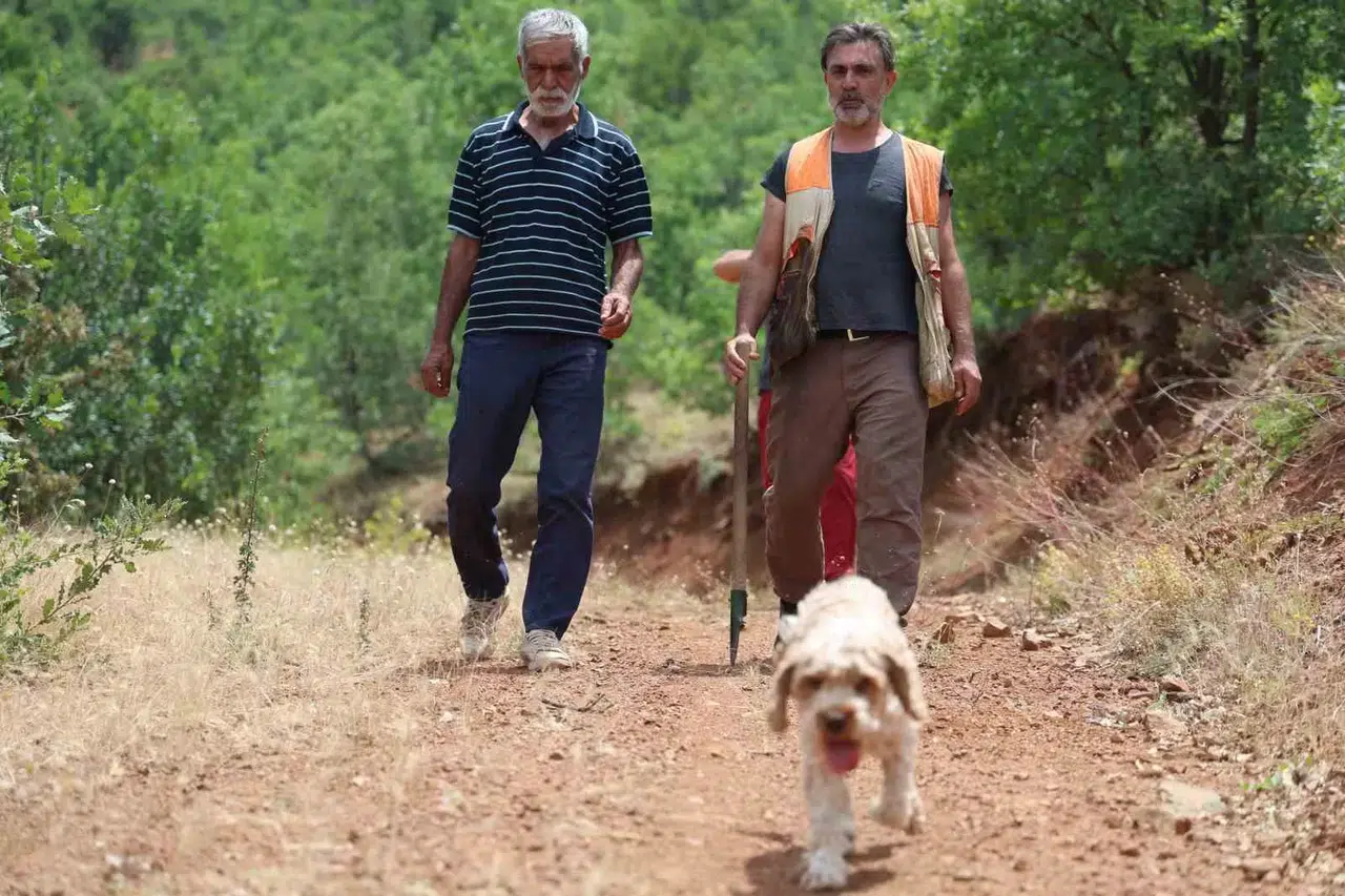 Kent Şehir Gezerek Köpeğiyle ‘Kara Elmas’ Arıyor