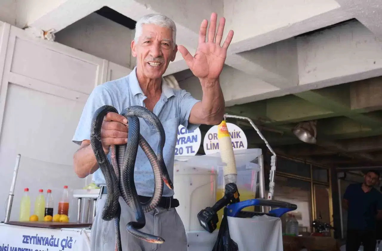 Koynunda Beslediği Yılanlar Bu türlü Isırdı