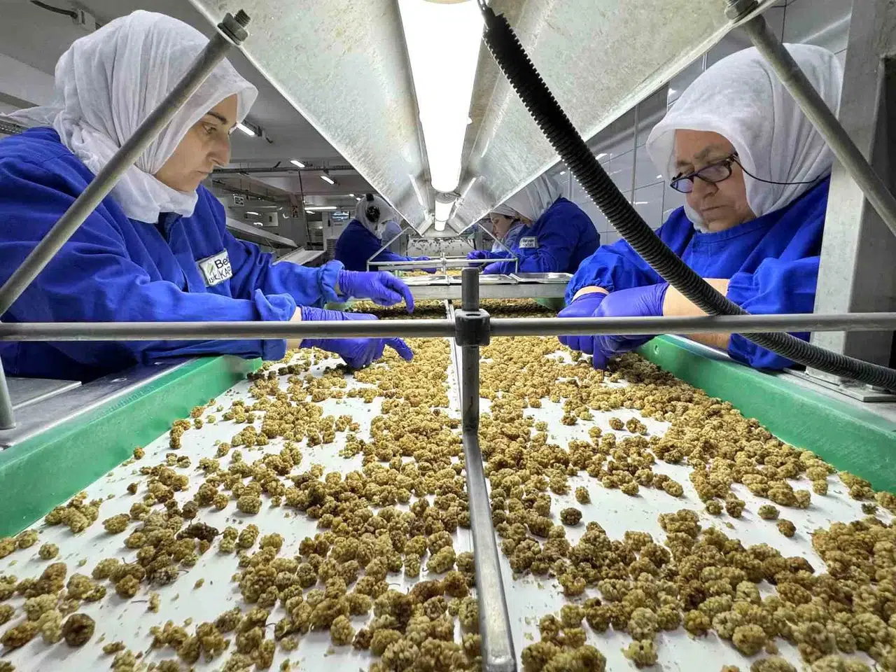 Kuru Meyve İhracatı 829 Milyon Dolara Yükseldi