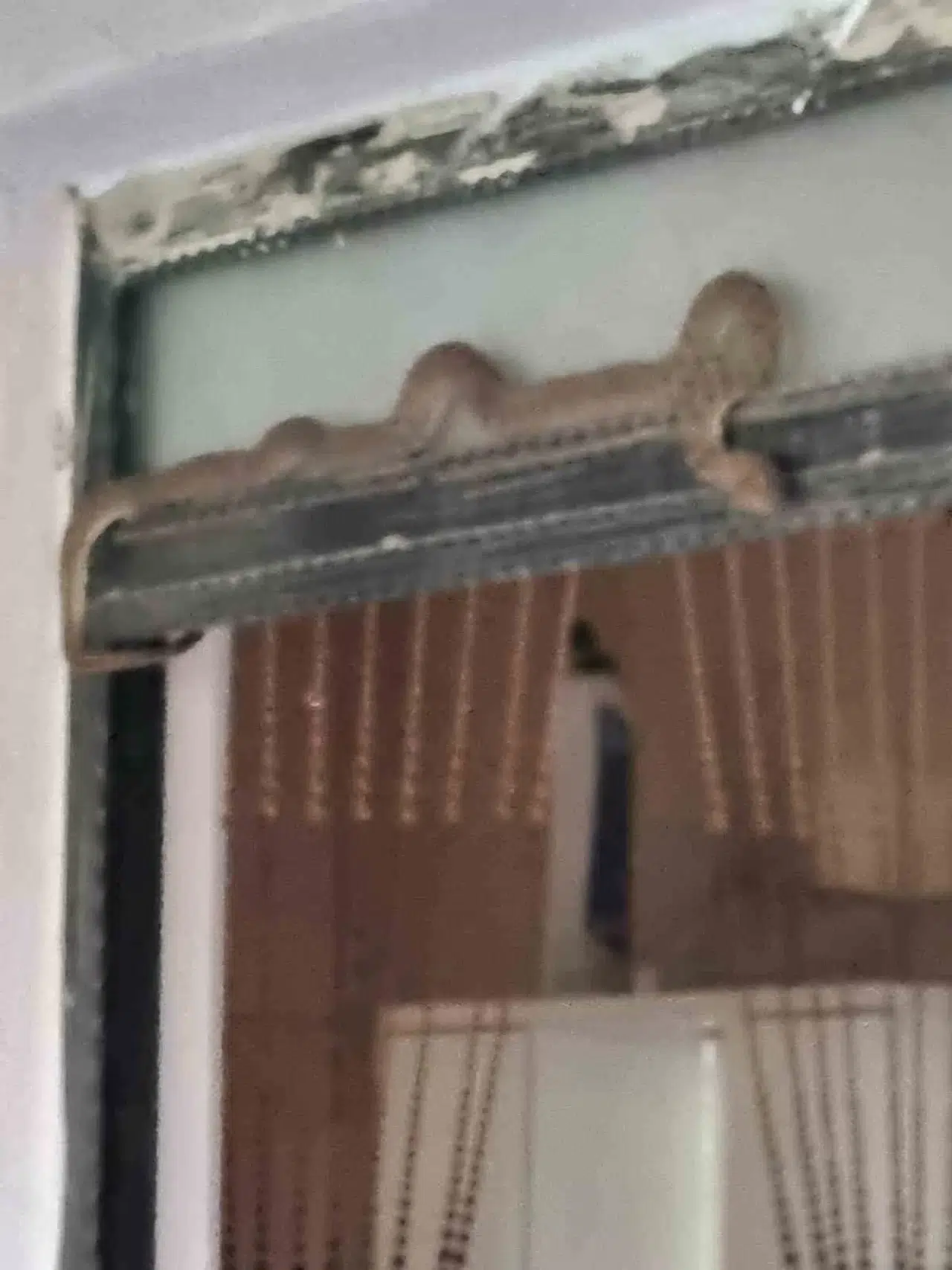 Meskene Giren Yılan Paniğe Neden Oldu