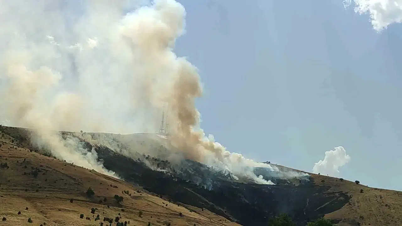 Muş’ta Çıkan Örtü Yangını Denetim Altına Alındı