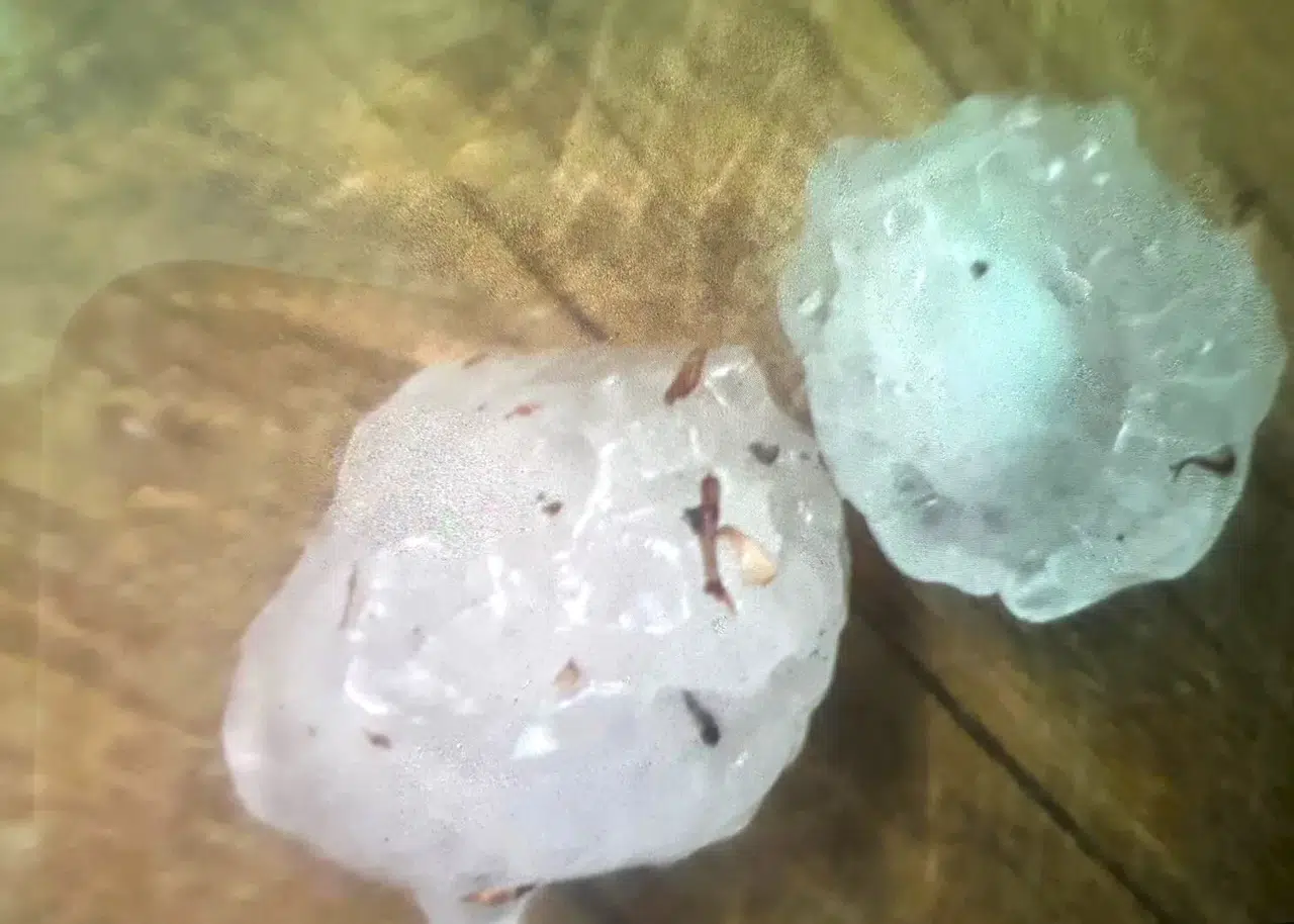 Osmancık’a Ceviz Büyüklüğünde Dolu Yağdı