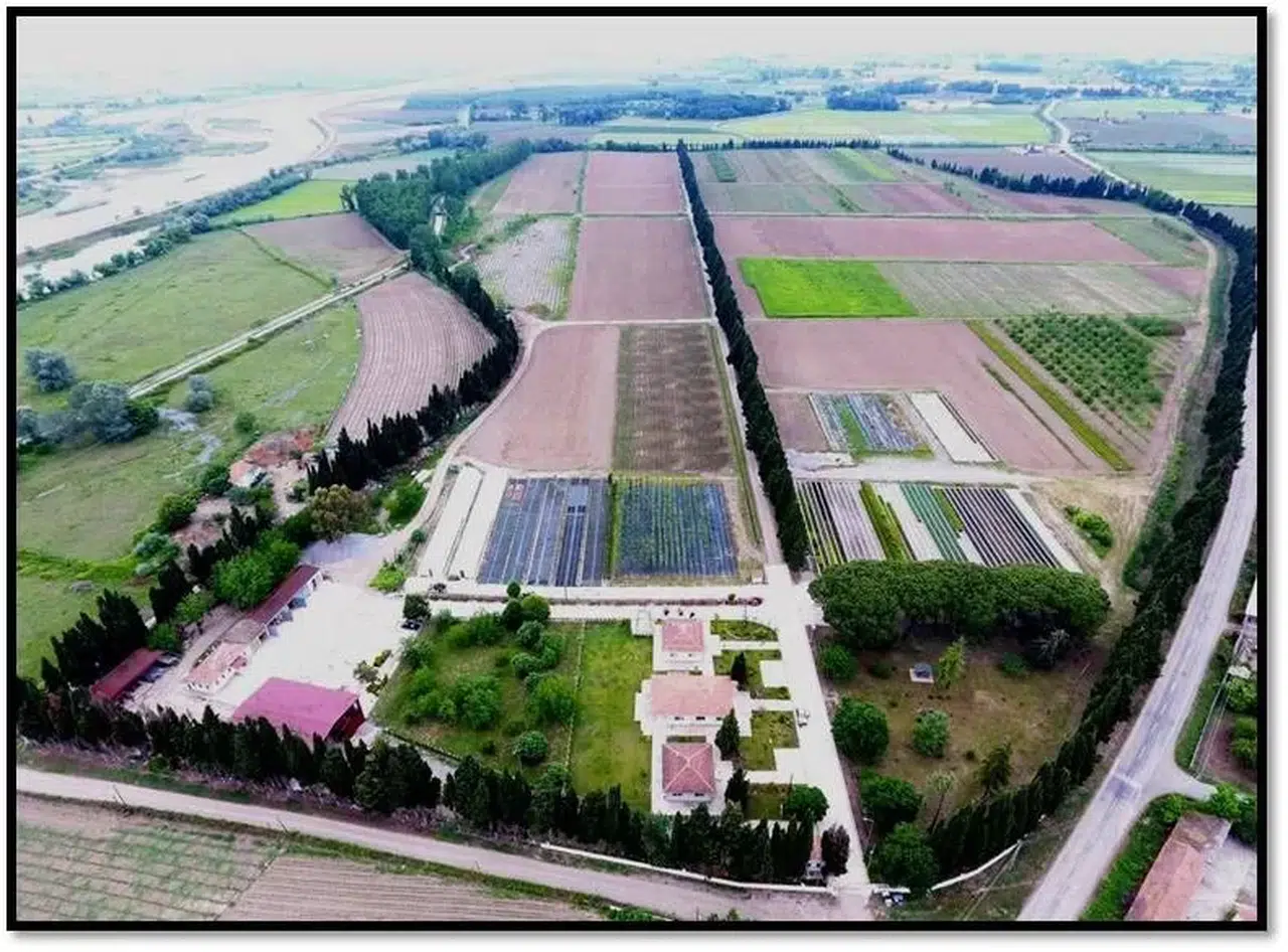 Samsun’da Yılda 134 Cinste Üretilen 10 Milyon Fidan Türkiye’yi Yeşillendiriyor