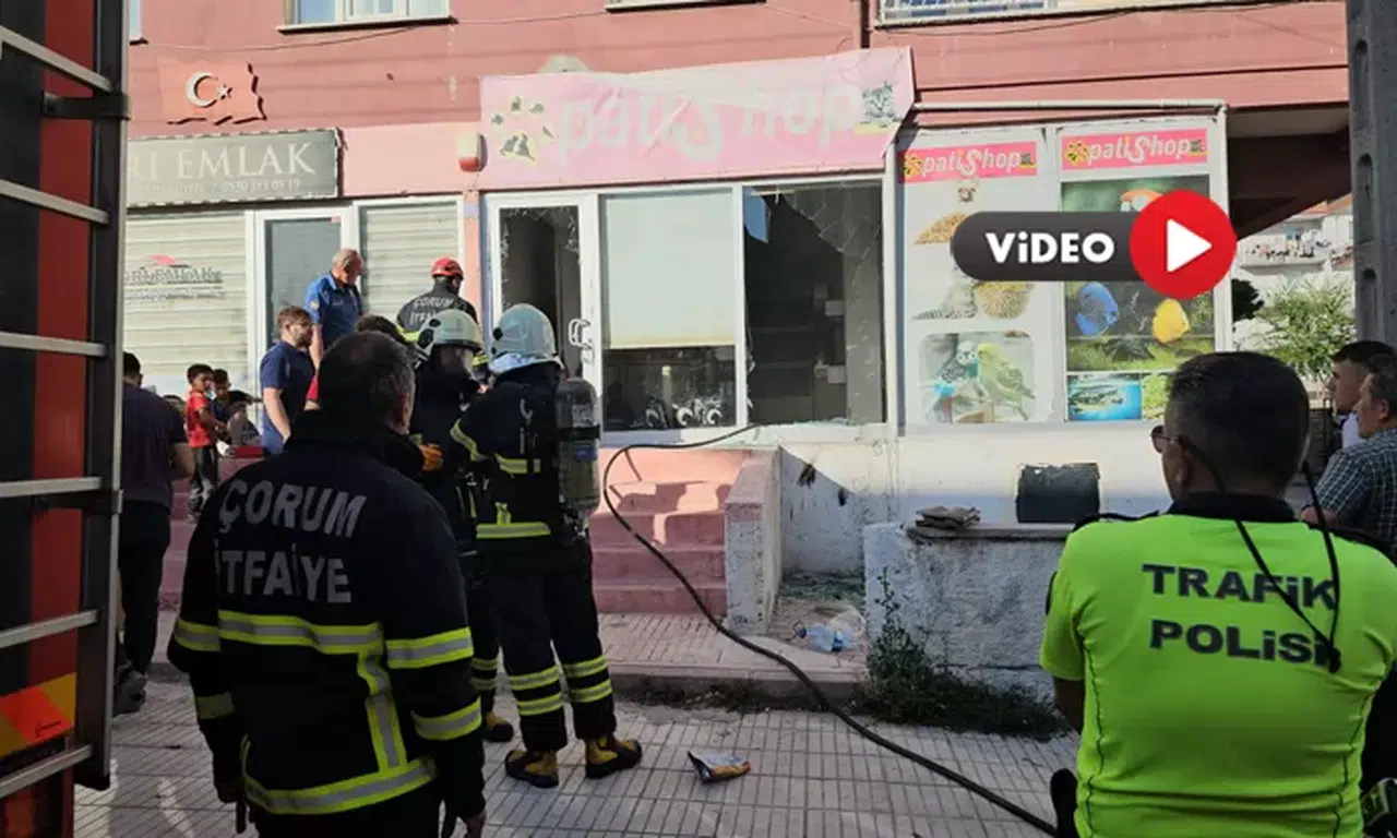 Petshopta Çıkan Yangın Korkuttu