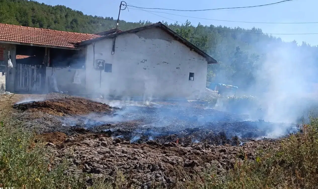 Gübre Yangını Ormana Sıçramadan Söndürüldü