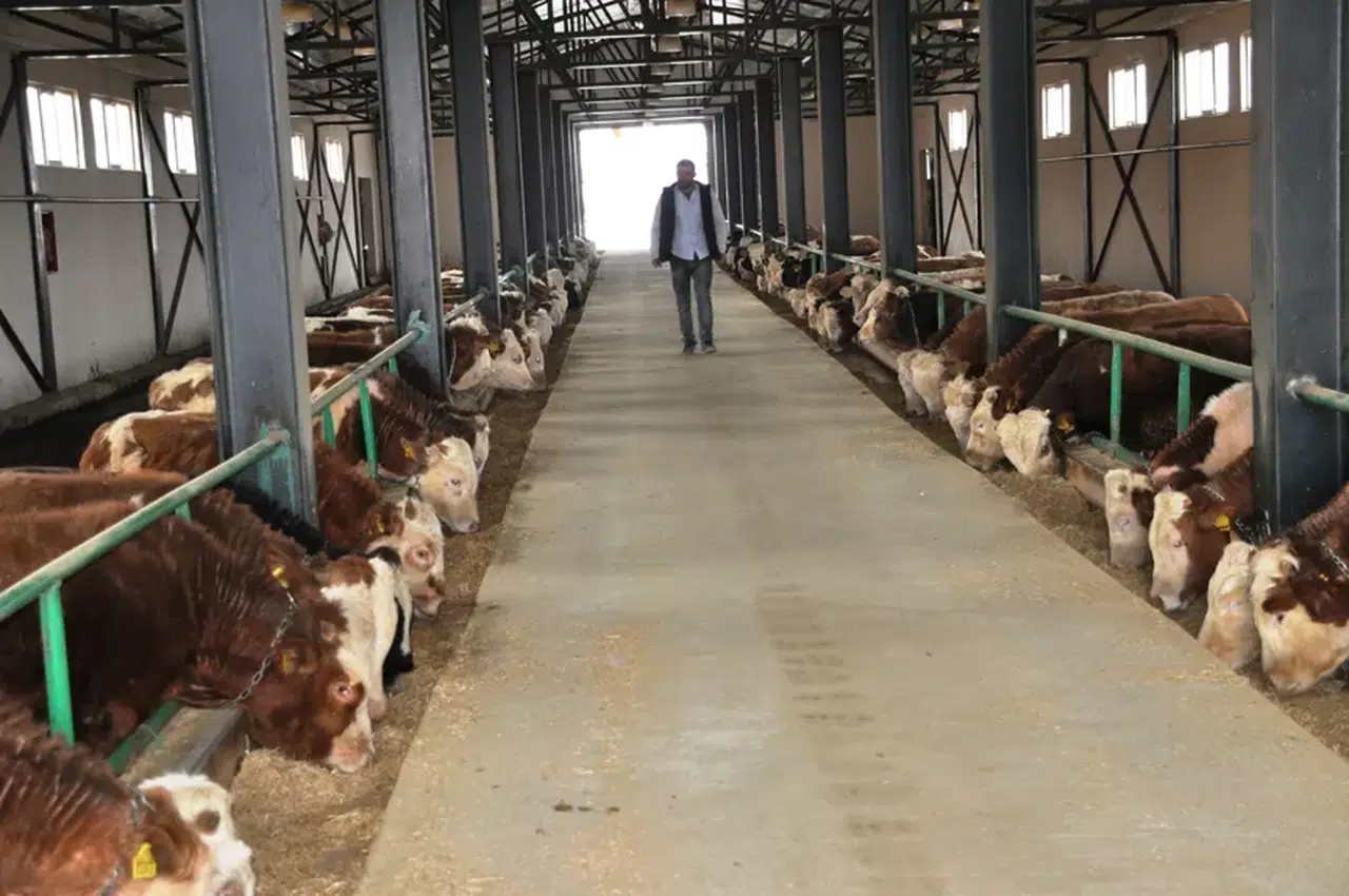 ‘Yatırımlara Yüzde 60 İle 75 Arasında Destek’