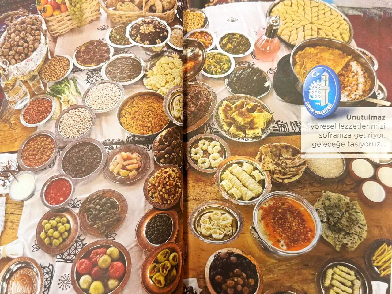Yöresel Lezzetler, Kitap Haline Getirildi