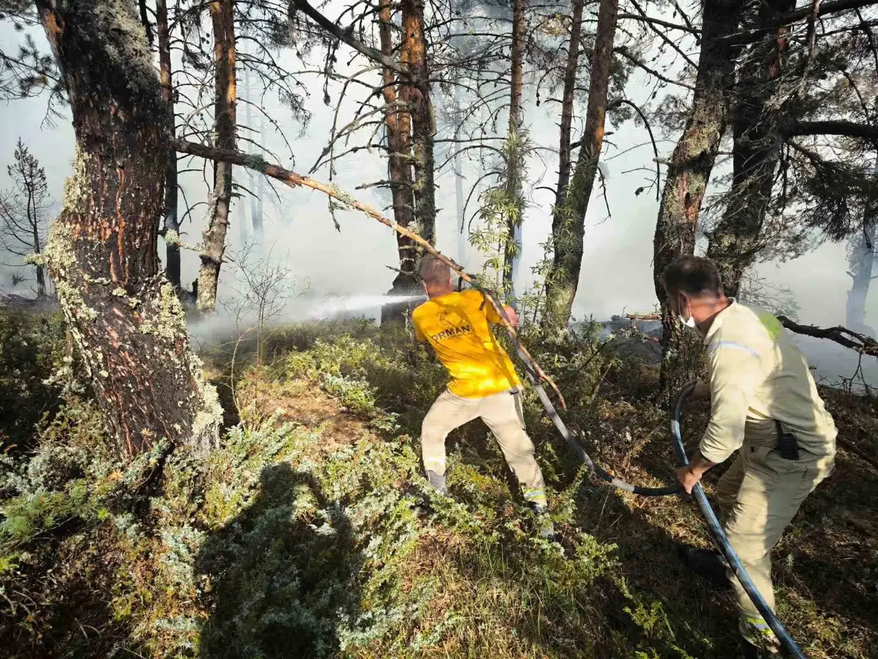 Ankara-Bolu Hududundaki Yangına Günün Birinci Işıklarıyla Havadan Müdahale Başladı