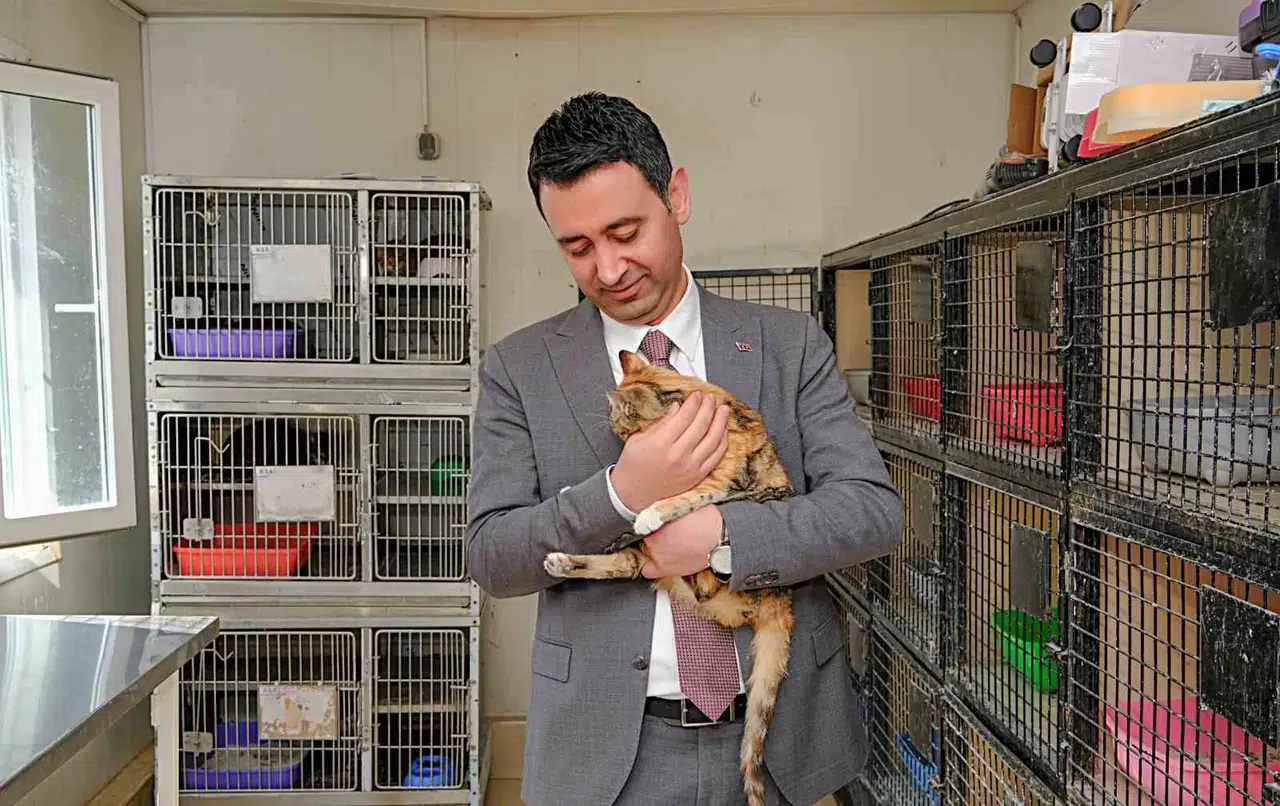 Bayraklı Belediyesi, Can Dostları Sahiplendirme Kampanyası Başlattı