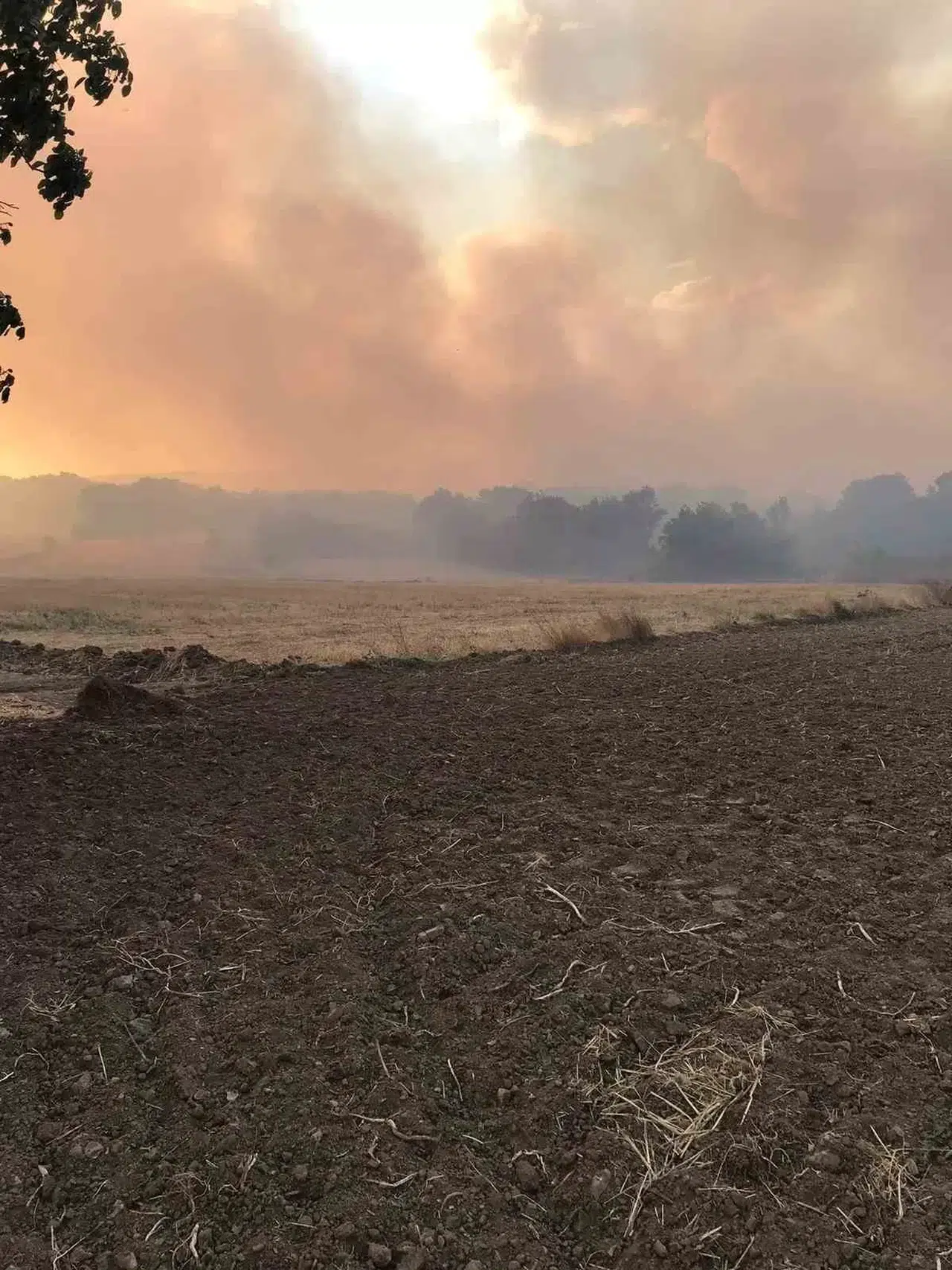 Bulgaristan Hududunda Çıkan Yangın Edirne’nin Köylerine İlerliyor